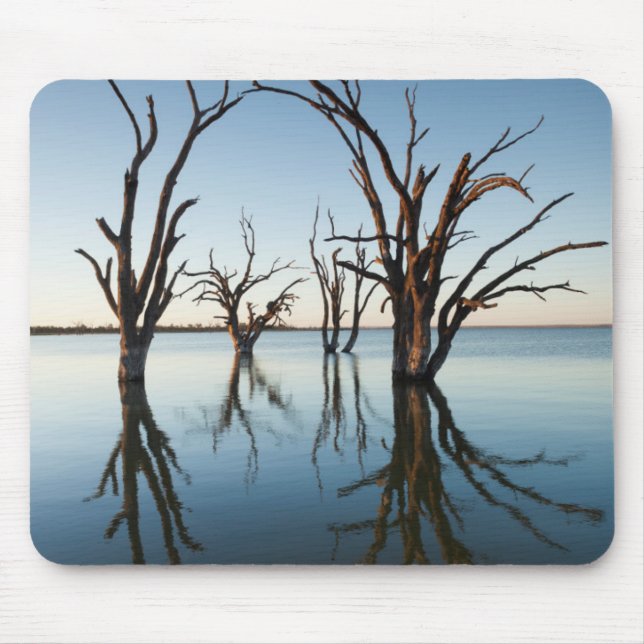 Australien, Murray River Valley, Barmera, sjö Musmatta (Framsidan)
