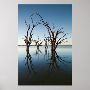 Australien, Murray River Valley, Barmera, Sjö Poster