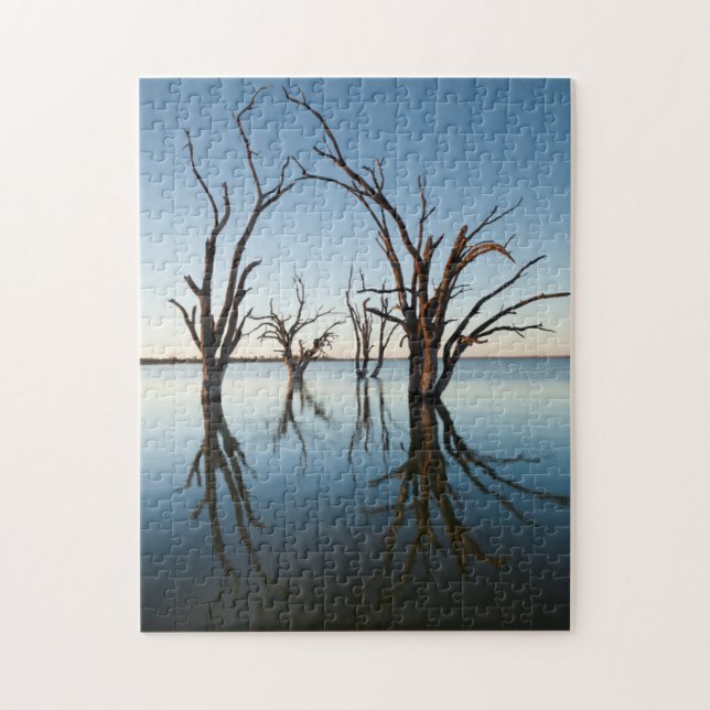 Australien, Murray River Valley, Barmera, sjö Pussel (Vertikal)
