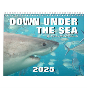 Australien nere under havet 2025 kalender