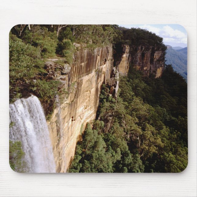 Australien, New South Wales, Fitzroy Falls. Musmatta (Framsidan)