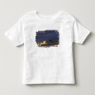 Australien, New South Wales, Sydney, Sydney Opera T-shirt