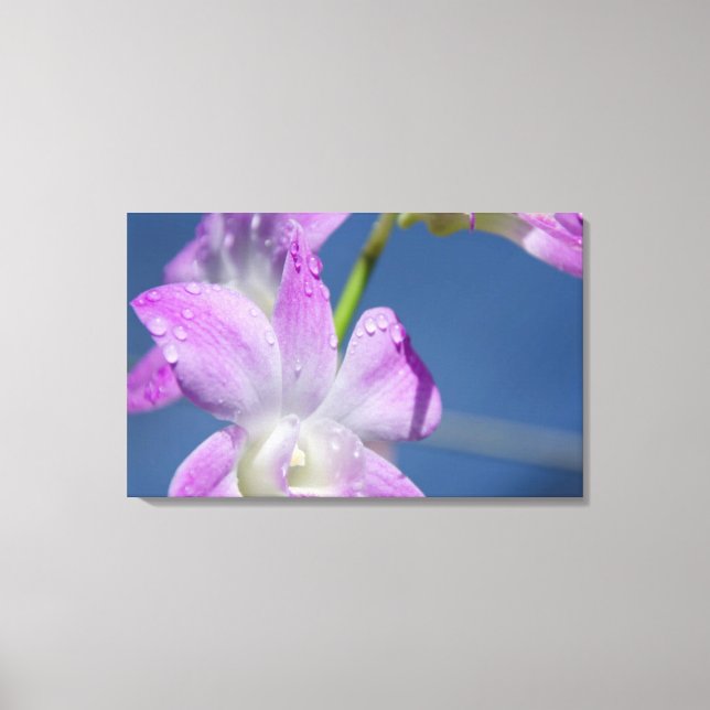 Australien, norra territoriet, Darwin Canvastryck (Framsida)