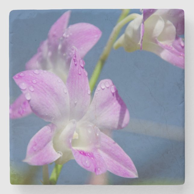 Australien, norra territoriet, Darwin Stenunderlägg (Framsidan)