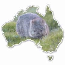 Australien Outline Shape Cute Wombat Tasmania