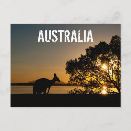 Australien Queensland Bergskanguru Solnedgång Vykort