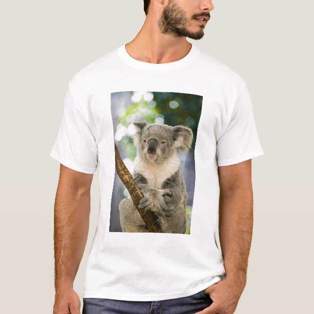 Australien, Queensland, Brisbane, Fig Tree T-shirt (Framsida)