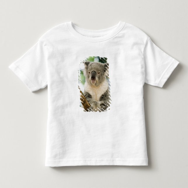 Australien, Queensland, Brisbane, Fig Tree Tee Shirt (Framsida)