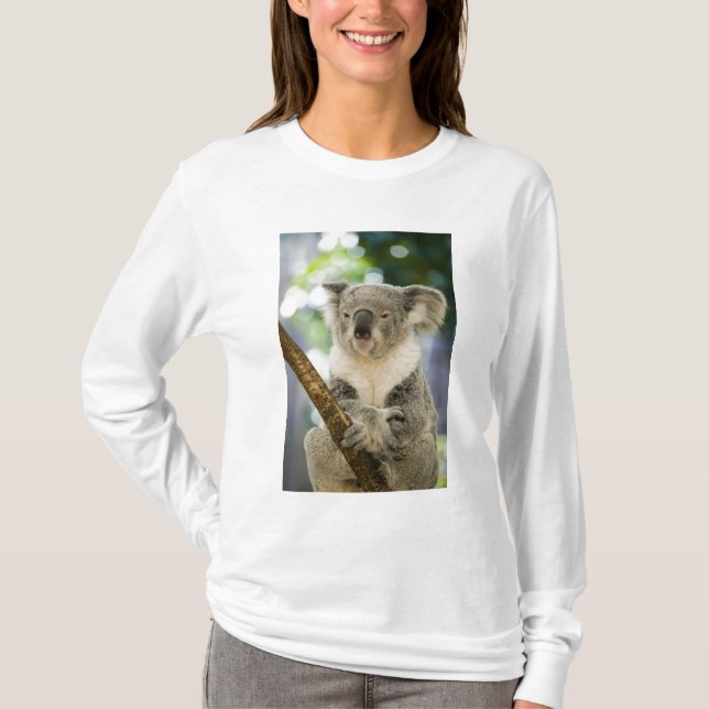 Australien, Queensland, Brisbane, Fig Tree Tee Shirt (Framsida)
