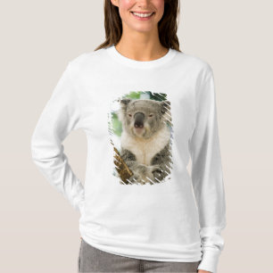 Australien, Queensland, Brisbane, Fig Tree Tee Shirt