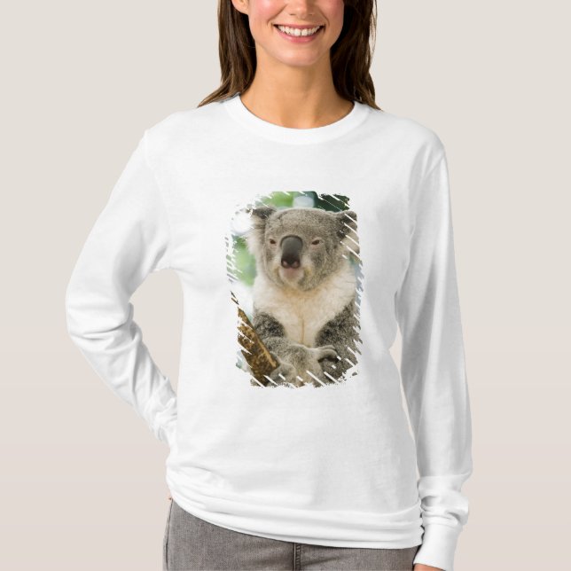 Australien, Queensland, Brisbane, Fig Tree Tee Shirt (Framsida)
