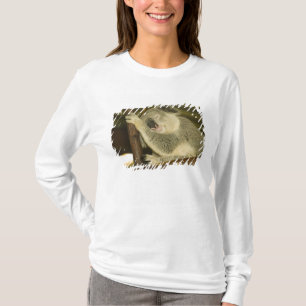 Australien, Queensland, Brisbane. Fikträd T-shirt