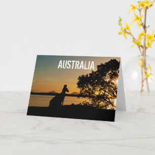 Australien Queensland Mountains Kangaroo Sunset Kort