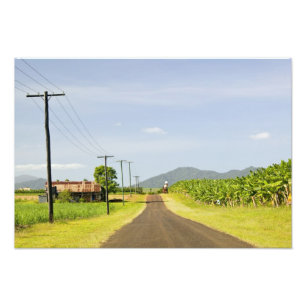Australien, Queensland, Nordkusten, Babinda. Fototryck