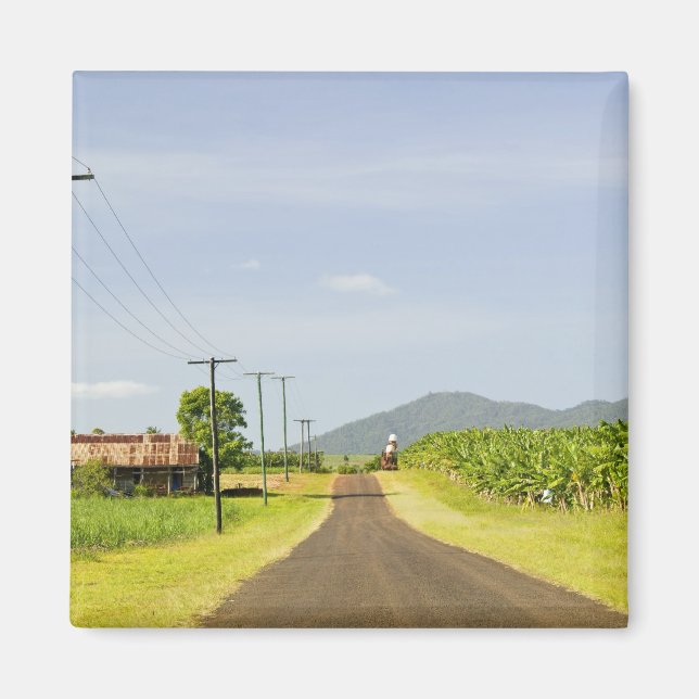 Australien, Queensland, nordkusten, Babinda. Magnet (Framsidan)