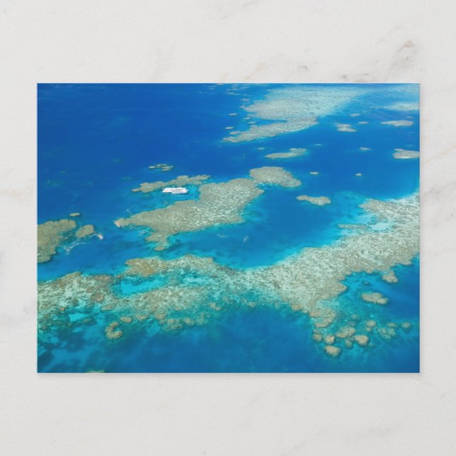 Australien, Queensland, Nordkusten, Cairns 3 Vykort (Framsida)