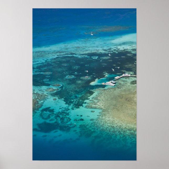 Australien, Queensland, Nordkusten, Cairns Poster (Framsidan)