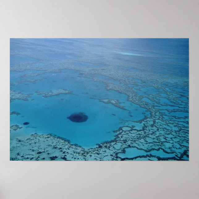 Australien, Queensland. Stora barriärrevet Poster (Framsidan)