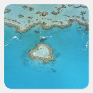 Australien, Queensland, The Whitsunday Islands, Fyrkantigt Klistermärke