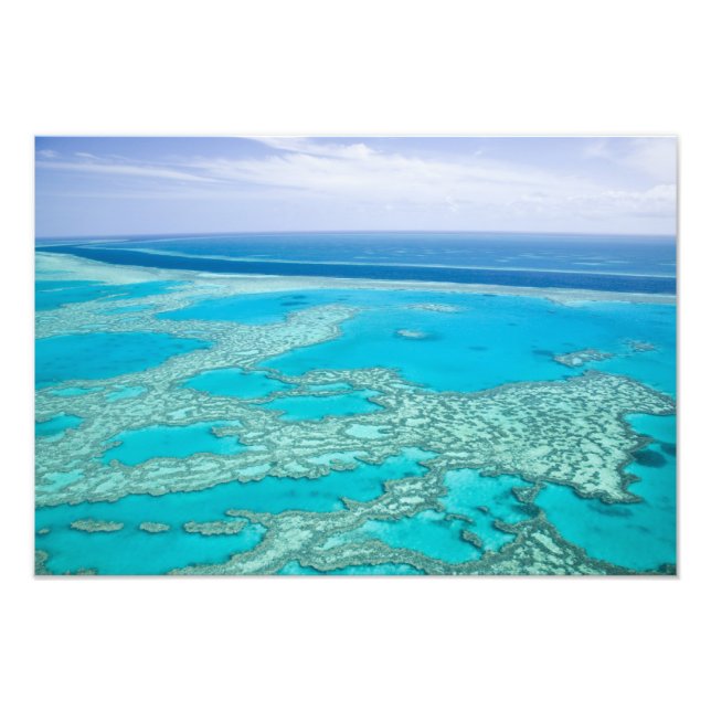 Australien, Queensland, Whitsunday Kusten, Underba Fototryck (Framsidan)