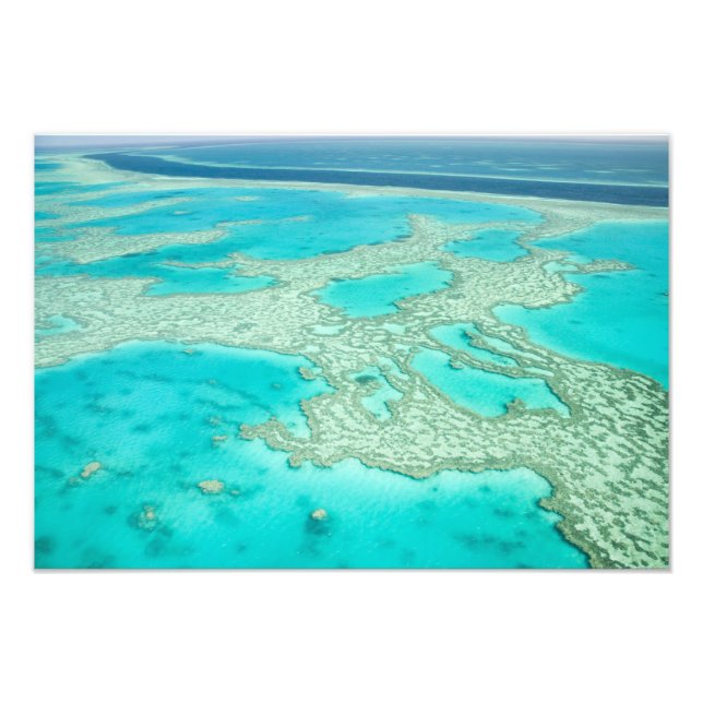 Australien, Queensland, Whitsunday Kusten, Underba Fototryck (Framsidan)