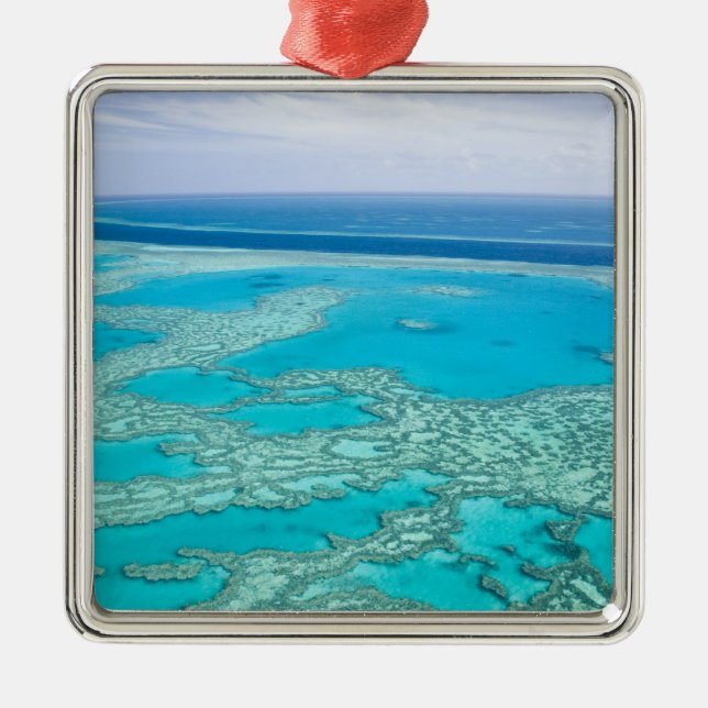 Australien, Queensland, Whitsunday Kusten, Underba Julgransprydnad Metall (Framsidan)