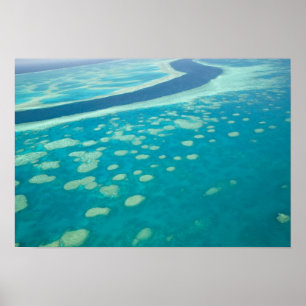 Australien, Queensland, Whitsunday Kusten, Underba Poster