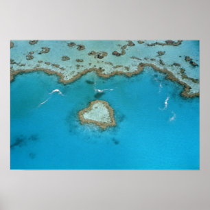 Australien, Queensland, Whitsunday-öarna Poster