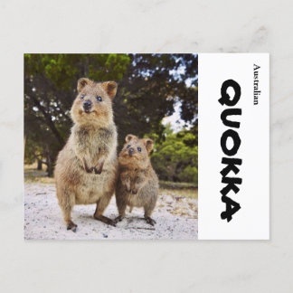 Australien Quokka Vykort