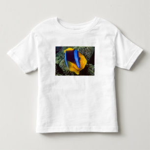Australien, Stora barriärrevet, Anemonfisk T Shirt