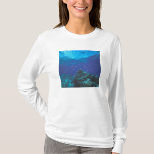 Australien, Stora barriärrevet. Svärmande lila T-shirt