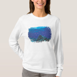 Australien, Stora barriärrevet. Svärmande lila T Shirt