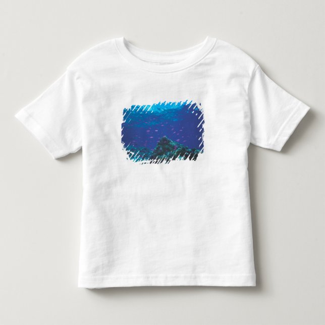 Australien, Stora barriärrevet. Svärmande lila Tee (Framsida)