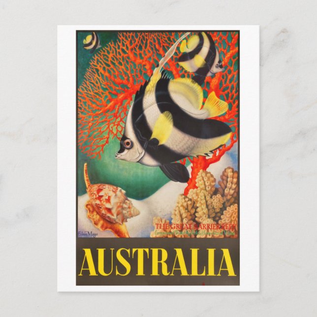 Australien, Tropiska fiskar vid Stora barriärrevet Vykort (Framsida)