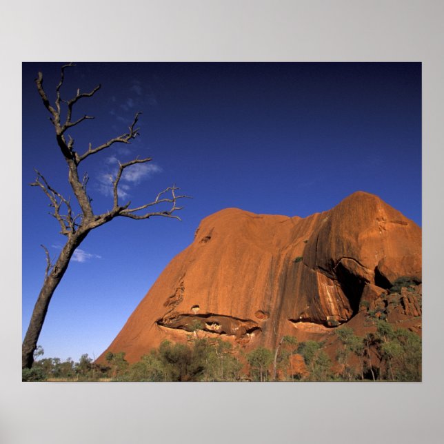 Australien, Uluru Kata Tjunnationalparken, Uluru Poster (Framsidan)