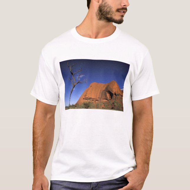 Australien, Uluru Kata Tjuta Nationalpark, Uluru Tee (Framsida)