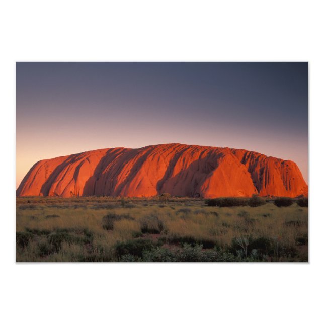 Australien, Uluru nationalpark. Uluru Fototryck (Framsidan)
