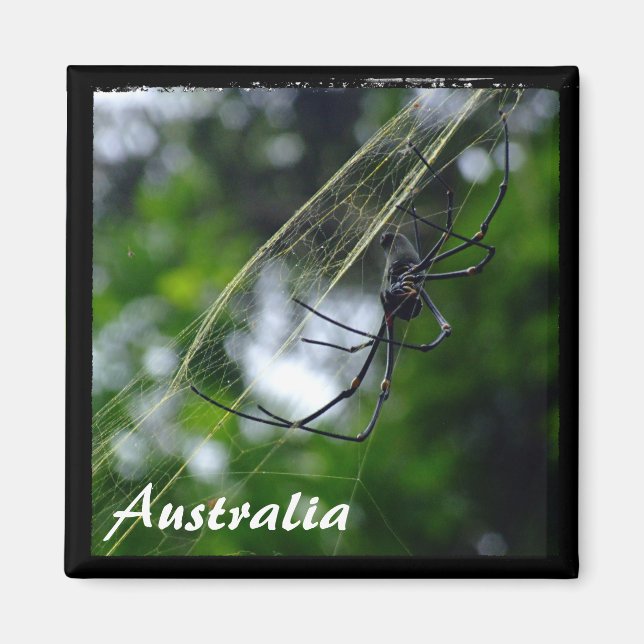 Australien, vildmark, spindel (Magnet) Magnet (Framsidan)