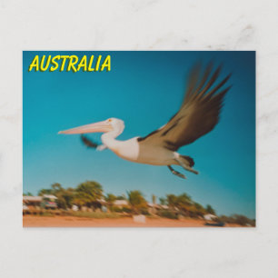 Australien Vykort