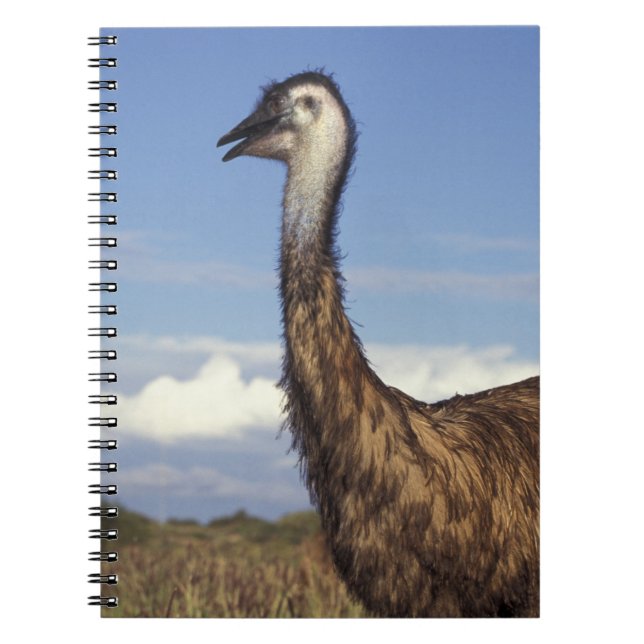 Australien, Western Australia. Emu (Dromaius Anteckningsbok (Framsidan)