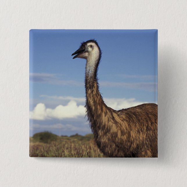 Australien, Western Australia. Emu (Dromaius Knapp (Framsida)