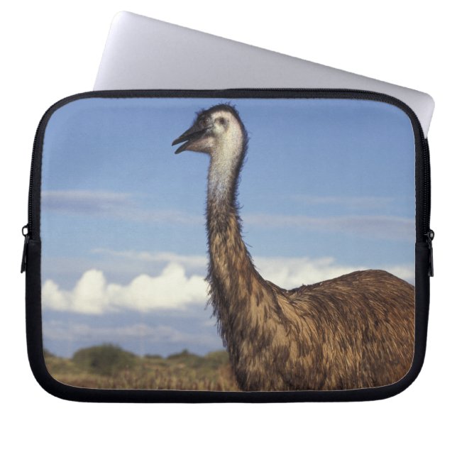 Australien, Western Australia. Emu (Dromaius Laptop Fodral (Framsidan)