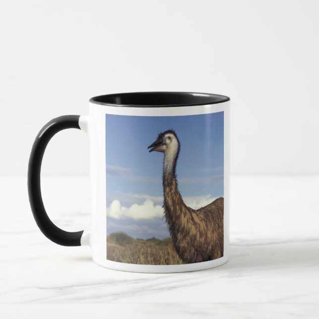 Australien, Western Australia. Emu (Dromaius Mugg (Vänster)