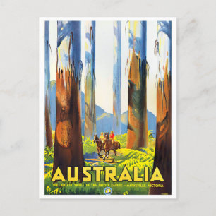Australiens högsta träd vintage resor vykort