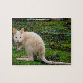 Australiensisk albinokänguru pussel