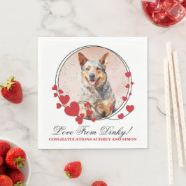 Australiensisk boskapshund Bröllops Hund Foto Pappersservett