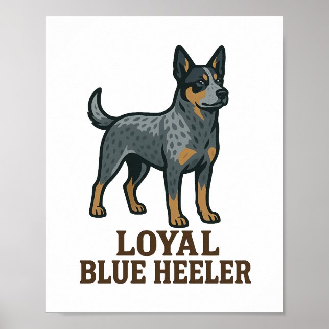 Australiensisk boskapshund Lojal Blue Heeler Poster (Framsidan)
