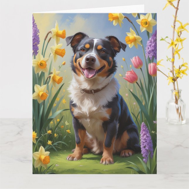 Australiensisk boskapshund Vårblommor Målning Kort (Gul blomma)
