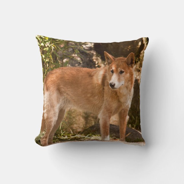 Australiensisk dingodekorativ kudde (Framsida)