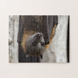 Australiensisk fladdermöss pussel